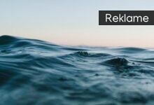 Bliv frivillig dykker og gør en kæmpe forskel