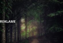 Få styr på dit jagtudstyr på hunterspoint