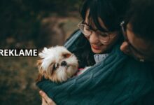 Gør dit kæledyr en tjeneste og få fjernet skadedyrene fra dit hjem