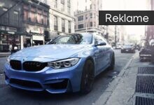 En bil er uundværlig, når du har hund